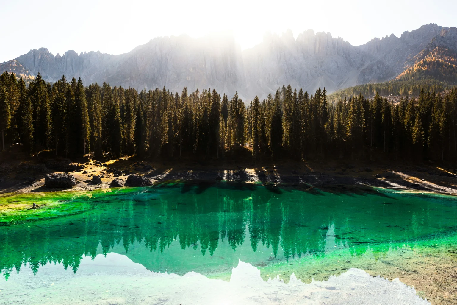 Which Hotels in South Tyrol Offer Rooms with Private Pool Access? South Tyrol