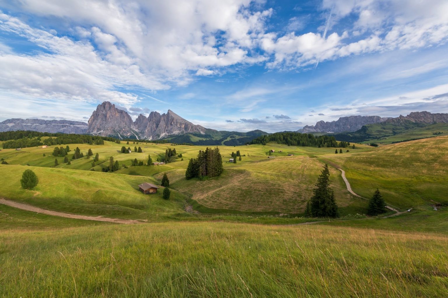 Luxury hotels on the Seiser Alm for a summer hiking and biking holiday Summer meadows and walking paths on the Seiser Alm beneath the Sassolungo peaks in the Dolomites